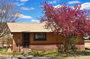 Cozy River Cabin 2 with Arkansas River View